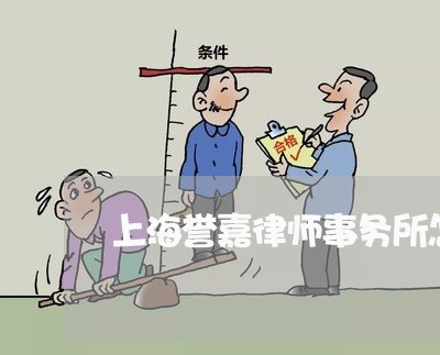 上海誉嘉律师事务所怎么样/2023031925048