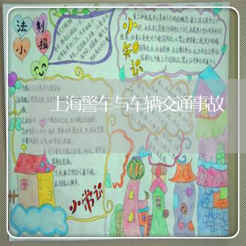 上海警车与车辆交通事故/2023021749673