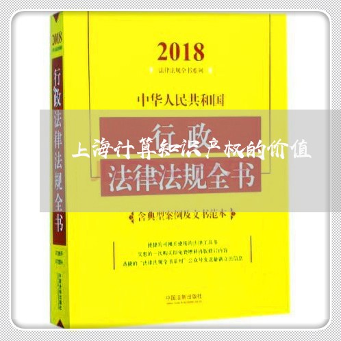 上海计算知识产权的价值/2023041152503