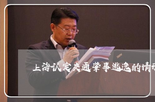 上海认定交通肇事逃逸的情形/2023032394805 上海认定交通肇事逃逸的情形/2023032394805