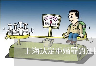 上海认定重婚罪的证据标准/2023031982714