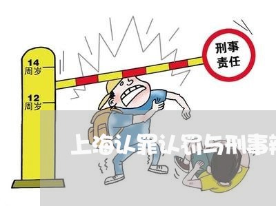 上海认罪认罚与刑事辩护/2023021719371 上海认罪认罚与刑事辩护/2023021719371