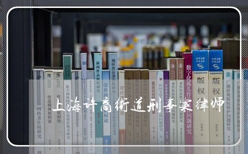 上海许商街道刑事案律师/2023041150814