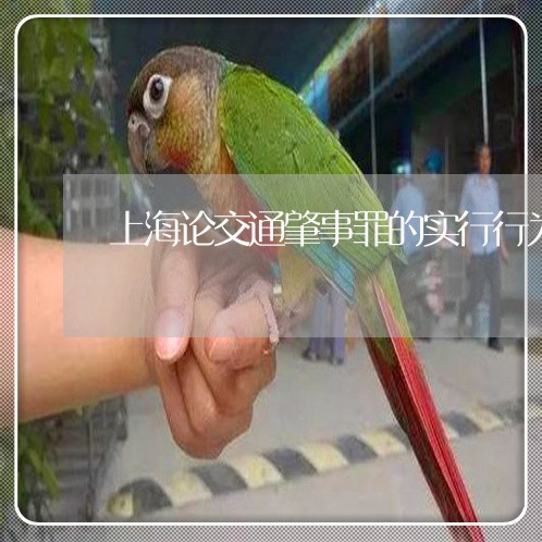 上海论交通肇事罪的实行行为/2023032337149