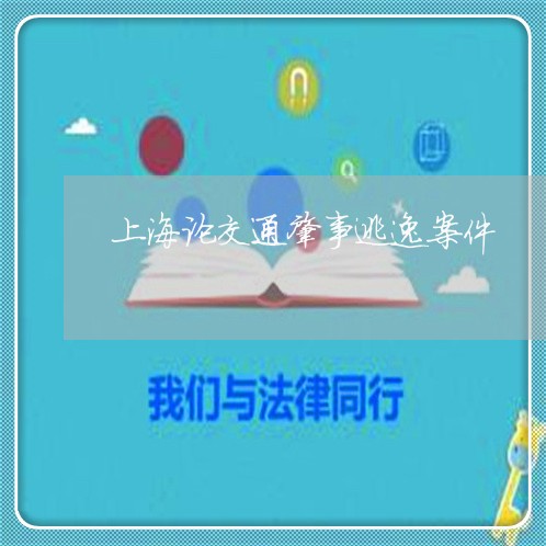 上海论交通肇事逃逸案件/2023021754269 上海论交通肇事逃逸案件/2023021754269