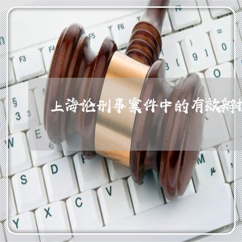 上海论刑事案件中的有效辩护/2023032303805