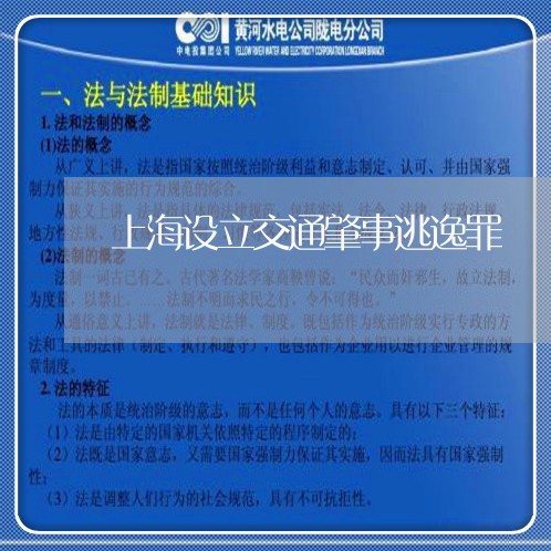 上海设立交通肇事逃逸罪/2023041183815