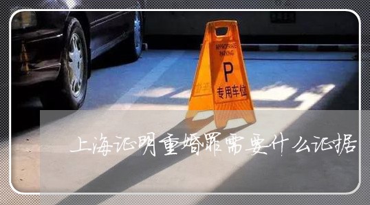 上海证明重婚罪需要什么证据/2023032314826 上海证明重婚罪需要什么证据/2023032314826