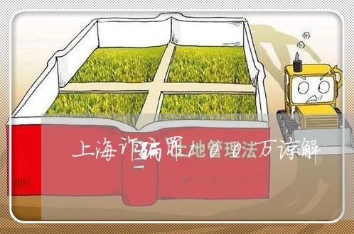 上海诈骗罪100万谅解/2023021694834