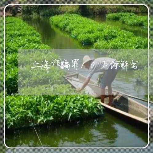 上海诈骗罪10万谅解书/2023021627148