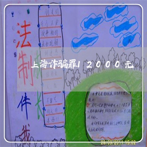 上海诈骗罪12000元/2023041141272