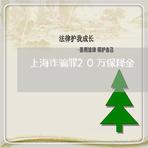 上海诈骗罪20万保释金/2023021631591 上海诈骗罪20万保释金/2023021631591