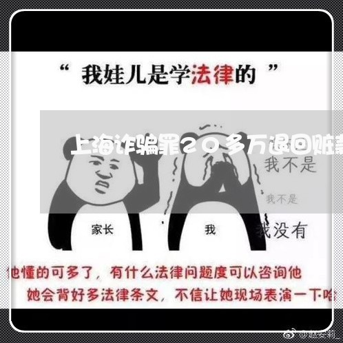 上海诈骗罪20多万退回赃款/2023032357581