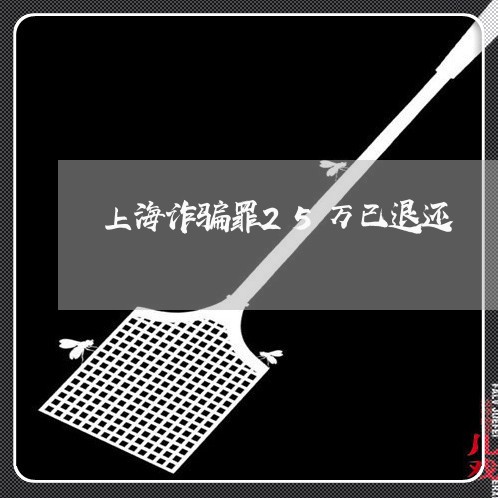 上海诈骗罪25万已退还/2023021616038 上海诈骗罪25万已退还/2023021616038