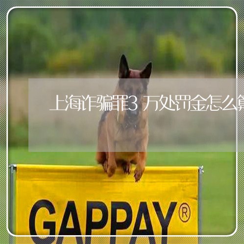 上海诈骗罪3万处罚金怎么算/2023032381493
