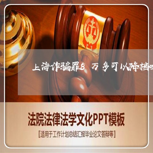 上海诈骗罪8万多可以降档吗/2023032370695 上海诈骗罪8万多可以降档吗/2023032370695