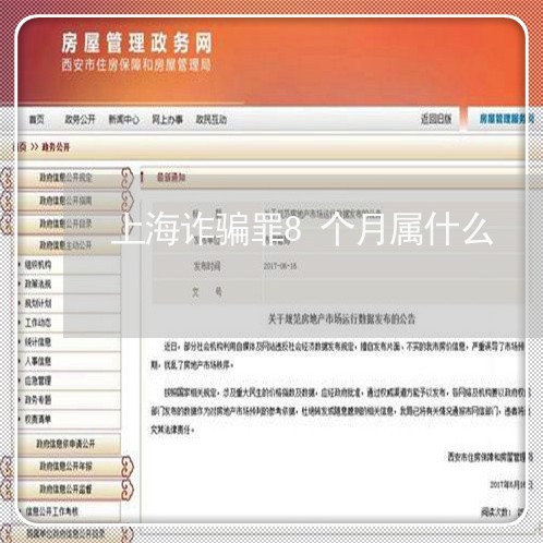 上海诈骗罪8个月属什么/2023041137191