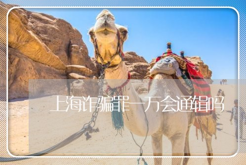 上海诈骗罪一万会通辑吗/2023021673715 上海诈骗罪一万会通辑吗/2023021673715