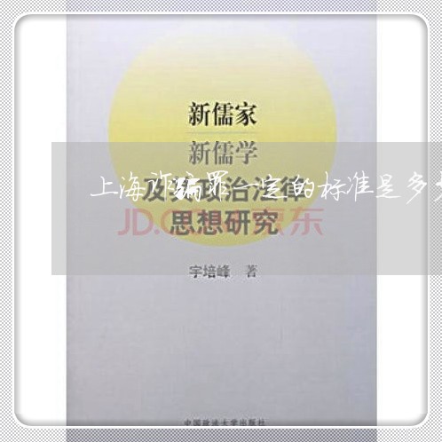 上海诈骗罪一定的标准是多少/2023032369461