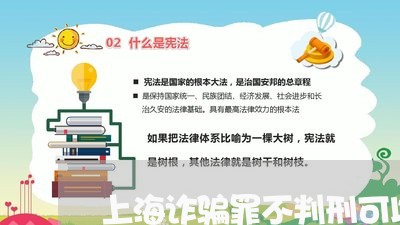 上海诈骗罪不判刑可以吗/2023041126368