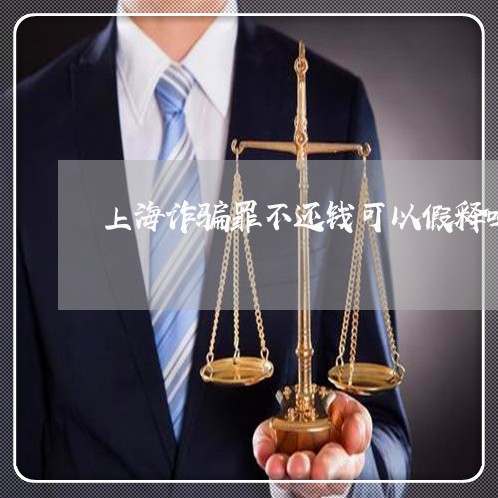 上海诈骗罪不还钱可以假释吗/2023032325157 上海诈骗罪不还钱可以假释吗/2023032325157