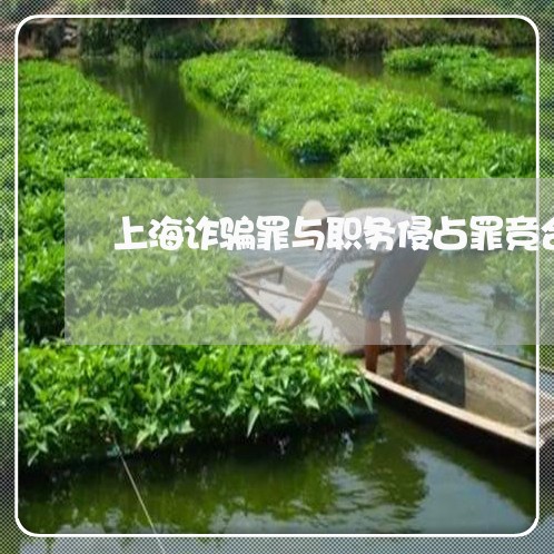 上海诈骗罪与职务侵占罪竞合/2023032336060