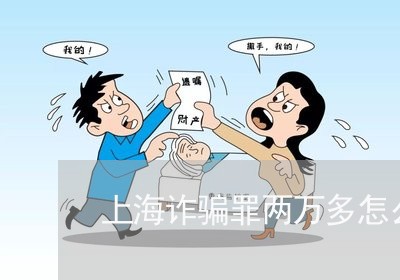 上海诈骗罪两万多怎么办/2023041241493