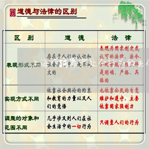 上海诈骗罪中处分行为的主体/2023032360282