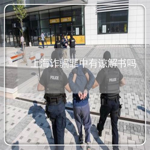 上海诈骗罪中有谅解书吗/2023041220370