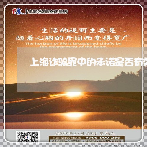上海诈骗罪中的承诺是否有效/2023032369604 上海诈骗罪中的承诺是否有效/2023032369604