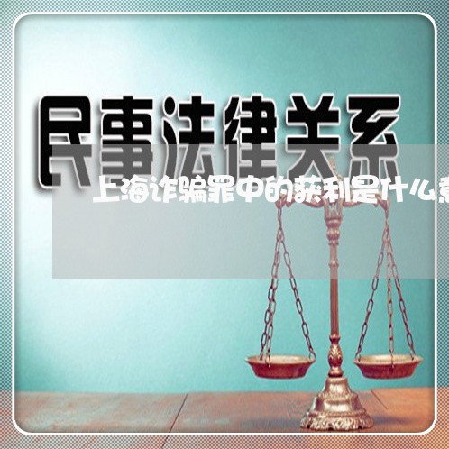 上海诈骗罪中的获利是什么意思/2023042086150