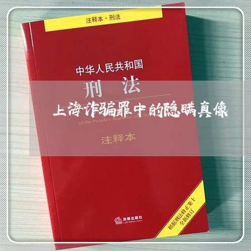 上海诈骗罪中的隐瞒真像/2023041236159