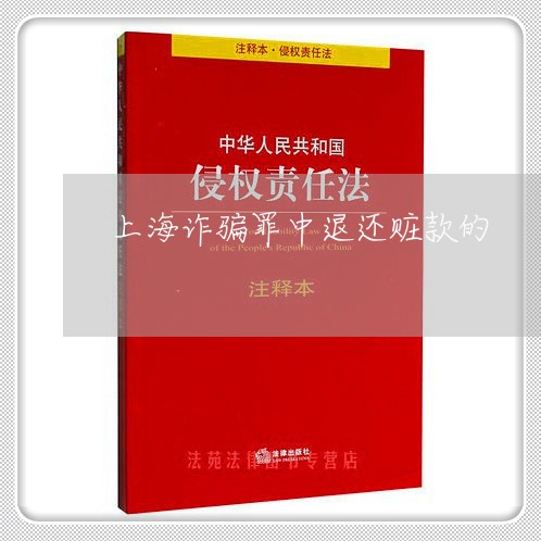 上海诈骗罪中退还赃款的/2023041228169