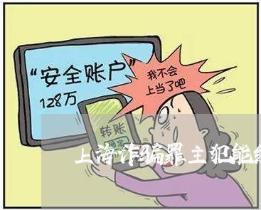 上海诈骗罪主犯能缓刑吗/2023021740492