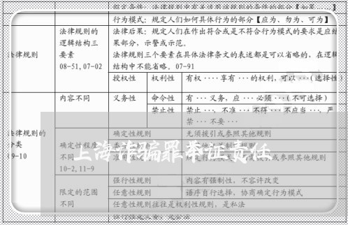 上海诈骗罪举证责任/2023032505936