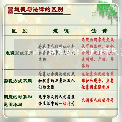 上海诈骗罪也能刑事附带民事/2023032372935 上海诈骗罪也能刑事附带民事/2023032372935