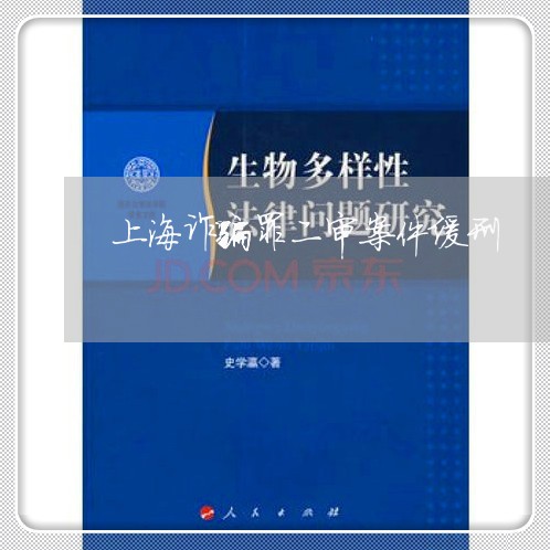上海诈骗罪二审案件缓刑/2023021752491 上海诈骗罪二审案件缓刑/2023021752491
