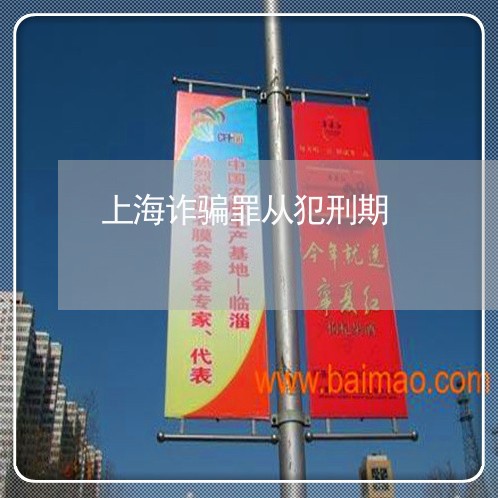 上海诈骗罪从犯刑期/2023032529480