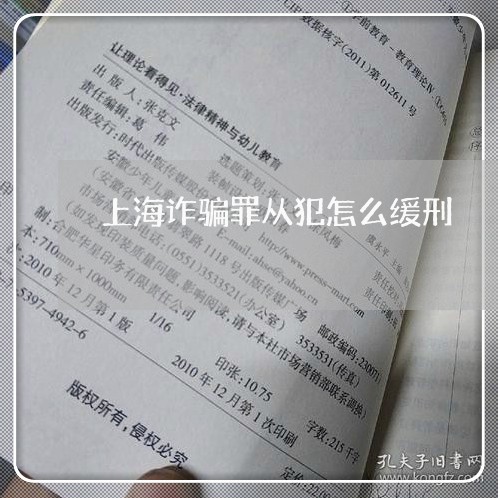 上海诈骗罪从犯怎么缓刑/2023041226138