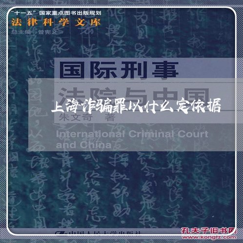 上海诈骗罪以什么定依据/2023021735169