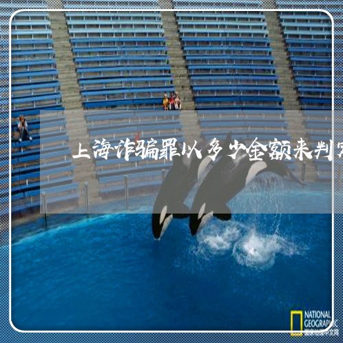 上海诈骗罪以多少金额来判定/2023032371592