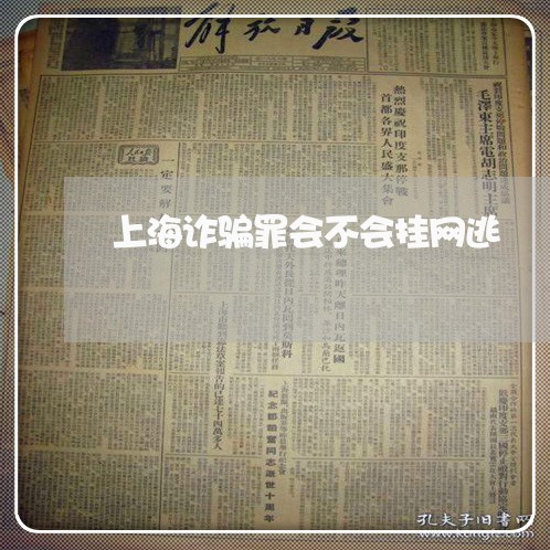 上海诈骗罪会不会挂网逃/2023021795816 上海诈骗罪会不会挂网逃/2023021795816