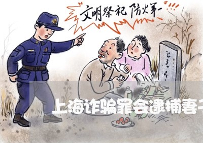 上海诈骗罪会逮捕妻子吗/2023021763804 上海诈骗罪会逮捕妻子吗/2023021763804