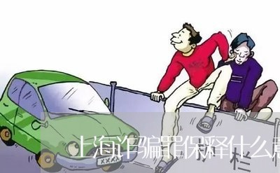 上海诈骗罪保释什么意思/2023041123605