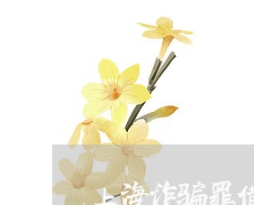 上海诈骗罪借贷型不立案/2023021725147 上海诈骗罪借贷型不立案/2023021725147