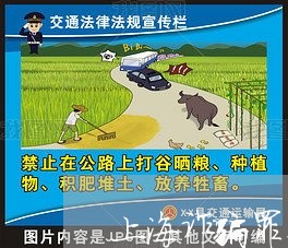 上海诈骗罪共同犯罪无罪辩护/2023032372573 上海诈骗罪共同犯罪无罪辩护/2023032372573