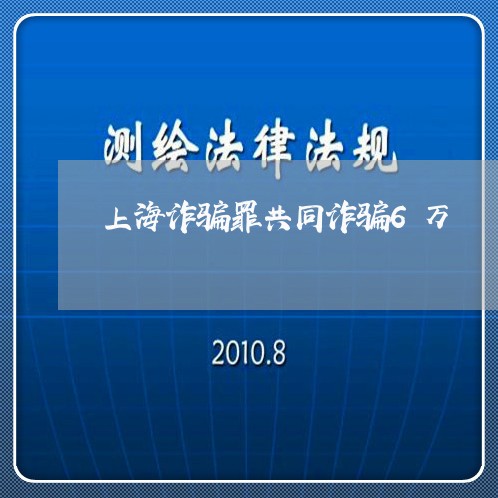 上海诈骗罪共同诈骗6万/2023021778269 上海诈骗罪共同诈骗6万/2023021778269