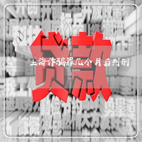 上海诈骗罪几个月后判刑/2023021672482 上海诈骗罪几个月后判刑/2023021672482