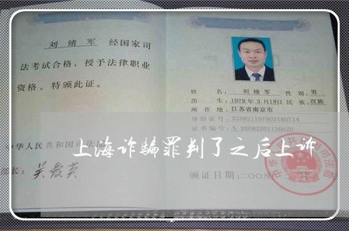 上海诈骗罪判了之后上诉/2023041171704