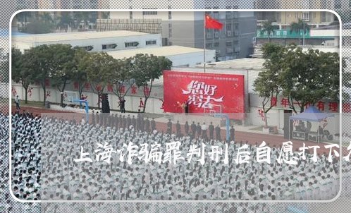 上海诈骗罪判刑后自愿打下欠条/2023041555037